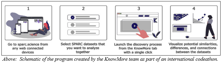 Schematic of steps in award-winning codeathon program