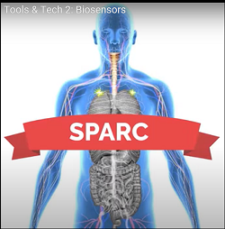 Logo of SPARC
