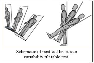 Schematic of the tilt table test