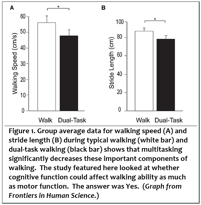 Graph showing effect of multitasking on walking variables