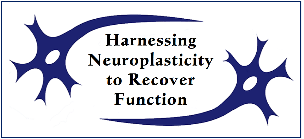 BRRC slogon:  Harnessing Neuroplasticity to Recover Function