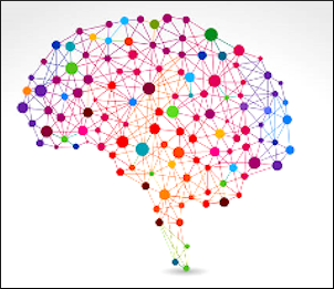 Schematic of networks in the brain